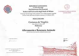 Laurea Costanza de Virgiliis Unimi.png