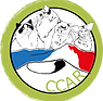 Logo_CCAR.png