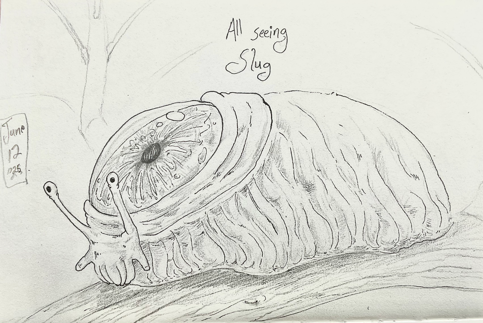 All Seeing Slug