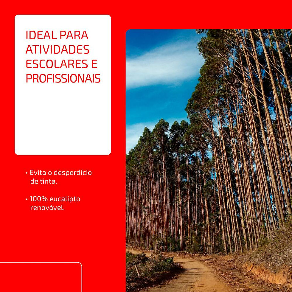 Miniatura: Papel Sulfite A4, 75g, 210mmx297mm, Chamex - PT 500 FL