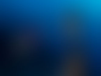 Why Our House Reef at Lighthouse Point Is a Diver’s Paradise