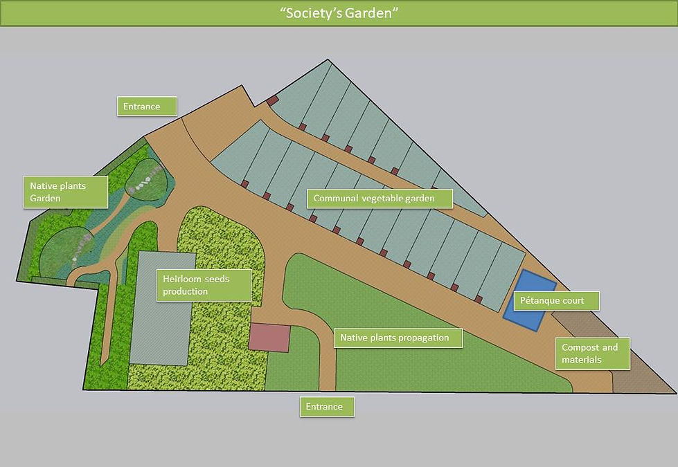 Societys garden.jpg