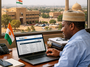 How TendersGo Helps You Find Niger Tender Opportunities in 2026