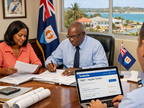 Anguilla Tenders 2026: Find Bids on PNCP with TendersGo