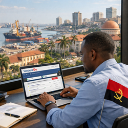 Angola Tender Alerts: Find Bids on TendersGo