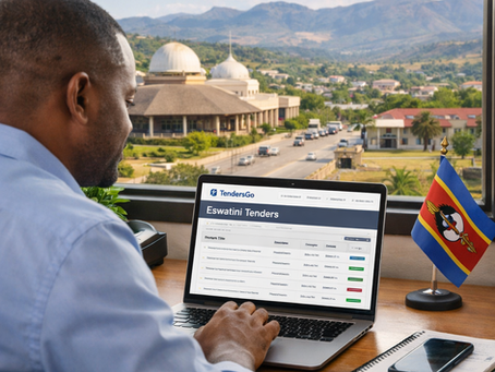 How to Find Eswatini Tenders & Bids on TendersGo in 2026