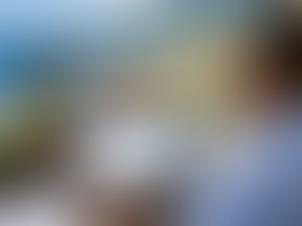 Saint Kitts and Nevis Tenders 2026: Find Bids on TendersGo
