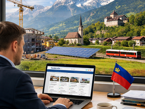 2026 Liechtenstein tender opportunities by sector on TendersGo