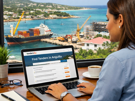 Anguilla Tenders 2026: Find Bids on TendersGo