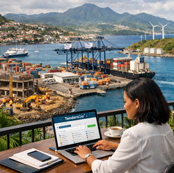 Find Martinique Tenders & Bids on TendersGo: Top Sectors 2026