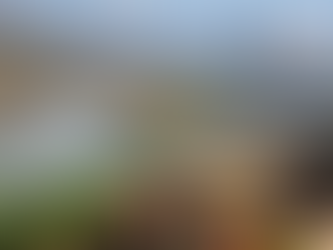 Central Asia's Water-Energy-Food Nexus Tests Regional Stability in 2026