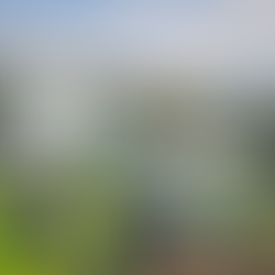 Cameroon Green Hydrogen Tenders 2026: Track on TendersGo