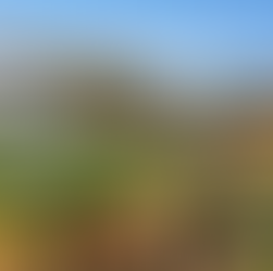 Aruba Agri-Innovation Park advances in 2026