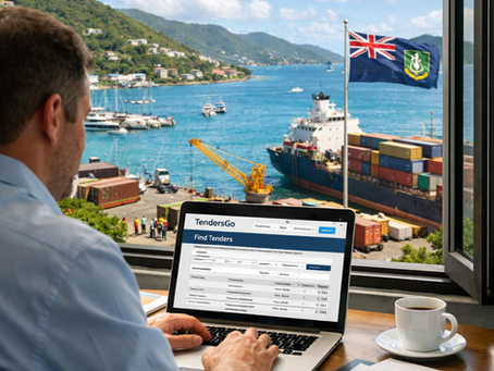 Virgin Islands, British Tenders on TendersGo: Find Bids