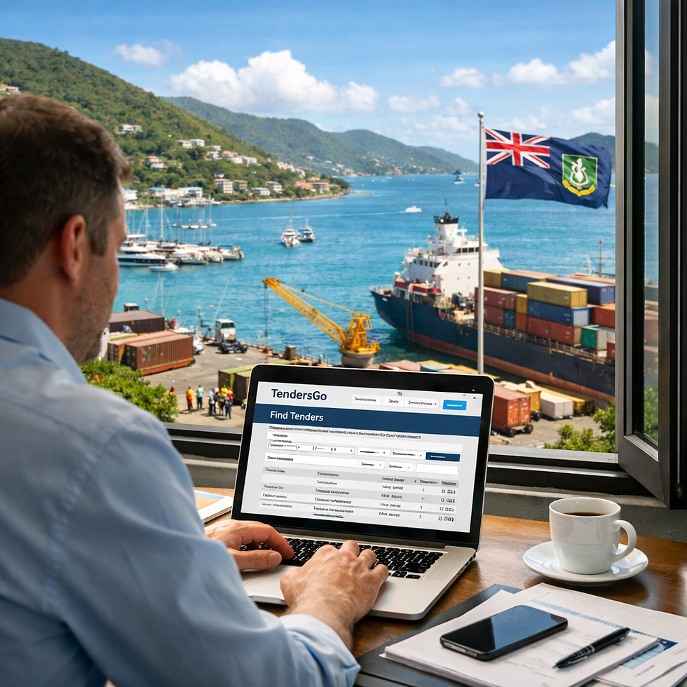 Virgin Islands, British Tenders on TendersGo: Find Bids