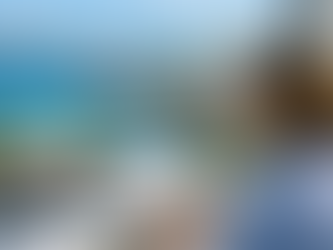 Bermuda tenders 2026: active sectors, RFPs & how to bid