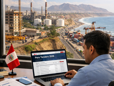 Peru Tenders 2026: Find Government Bids on TendersGo