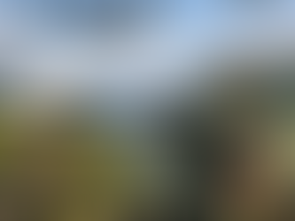 Switzerland Army Message 2026: Aerial Defence Upgrade
