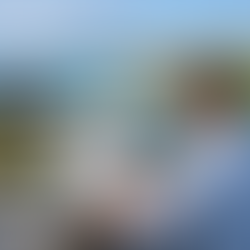 United States Minor Outlying Islands Tenders: Find Bids with TendersGo