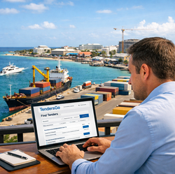 Cayman Islands Tenders 2026: Find Bids on TendersGo