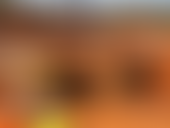 Australia's Rio Tinto $1.9B Kangwinan Bauxite Project