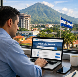 How to Find El Salvador Tenders on TendersGo: Step-by-Step