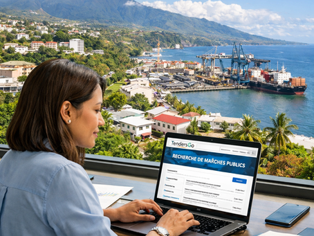 Reunion Tender Alerts: Find Government Bids on TendersGo