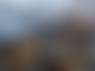Bouvet Island Steel & Mining Project: No Verifiable 2026 Investment