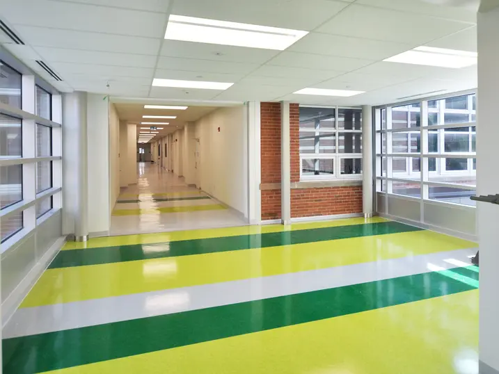 Elmdale Public School corridor with freshly painted light walls, large windows, colourful green and yellow flooring, brick accent columns, and bright ceiling lights.