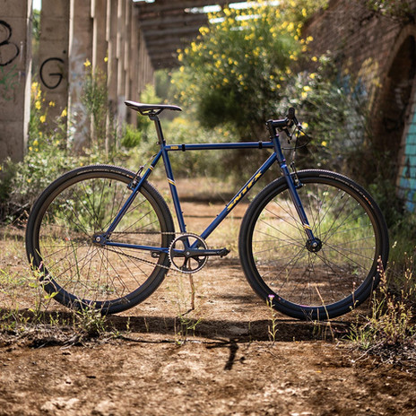 santafixie-wild.jpg