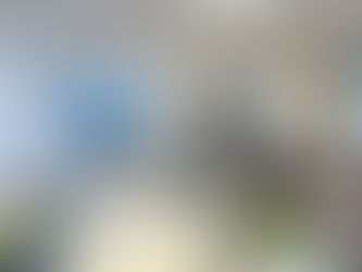 徳島新聞掲載|児童、サテライトオフィスの仕事学ぶ 美波町・あわえが12月まで実施、参加者募る