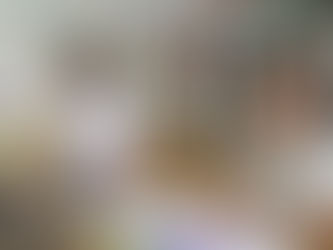 徳島新聞掲載|デュアルスクール 千葉の姉妹八幡小転入