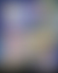 今日はここに行く