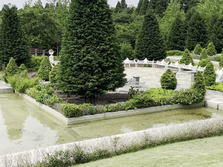 プリムローズガーデン 森と水の教会