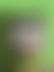 少しお高めの味噌
