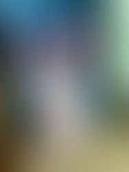 お客様から頂いた