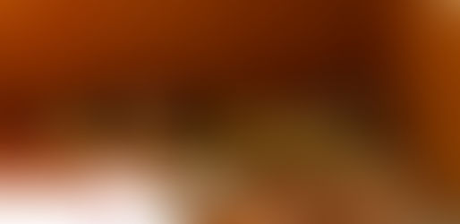 留守番のヤマトと小鉄