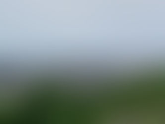 鳥取城跡二ノ丸からの市内一望