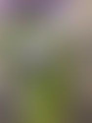 今シーズンの…