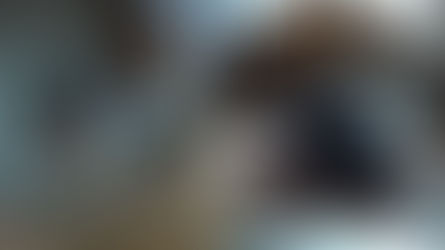 留守番カメラで