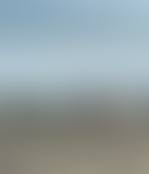 日本海を眺める小鳥