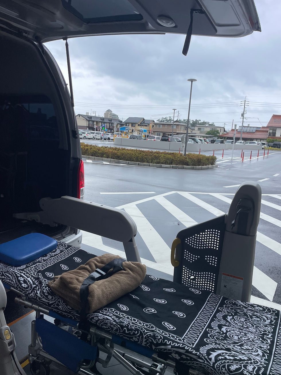 雨避け