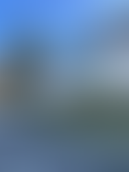 レガッタの基地