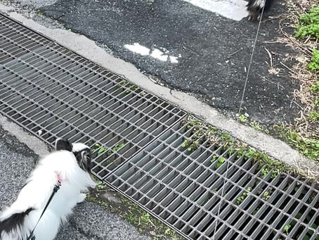 ヤマト小鉄のジャンプ