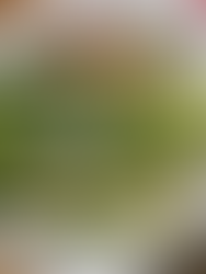 俺の最強サラダ