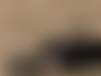 ヤマトと小鉄 ドッグランへ