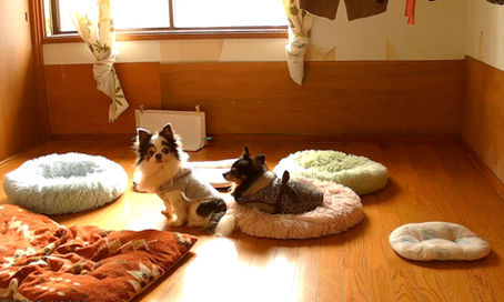 こたつを仕舞った