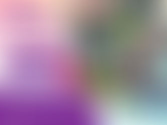 Save the Date: Sommerfest im Haus Früchting am 28. Juni 2026