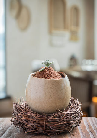 Cocktail - Lets Get Cracking