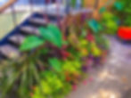 Chris' Garden